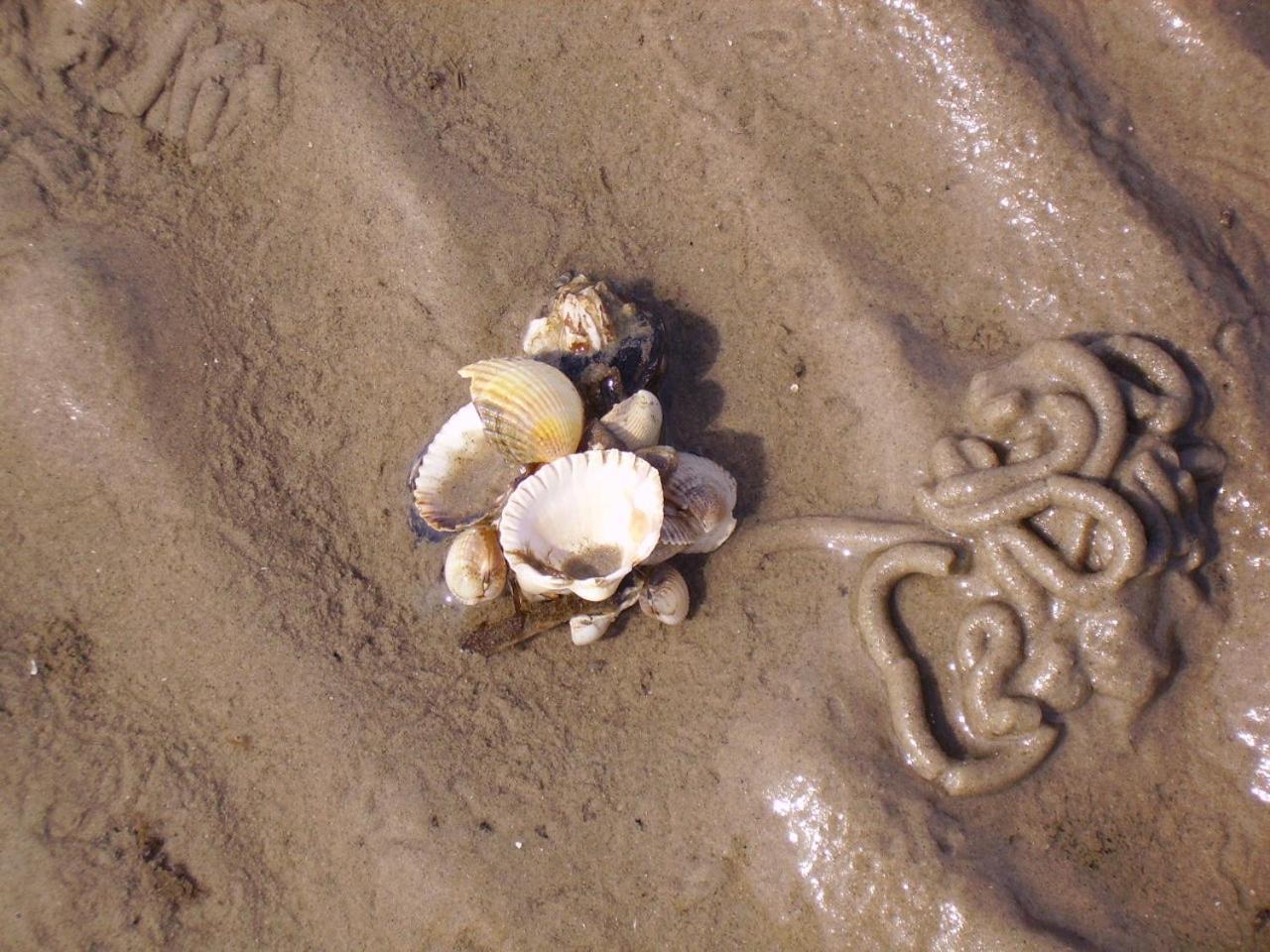 פלוורם Nordsee Lodge מראה חיצוני תמונה